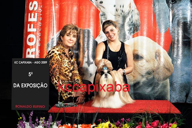 Clique sobre a foto para fechar